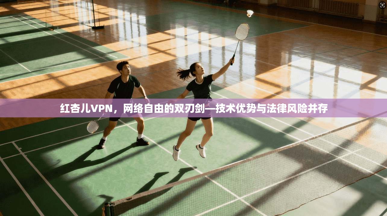 红杏儿VPN,网络自由的双刃剑—技术优势与法律风险并存