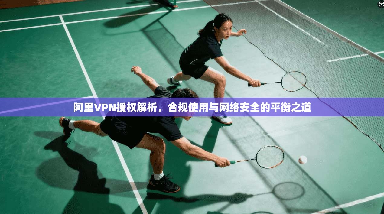 阿里VPN授权解析，合规使用与网络安全的平衡之道