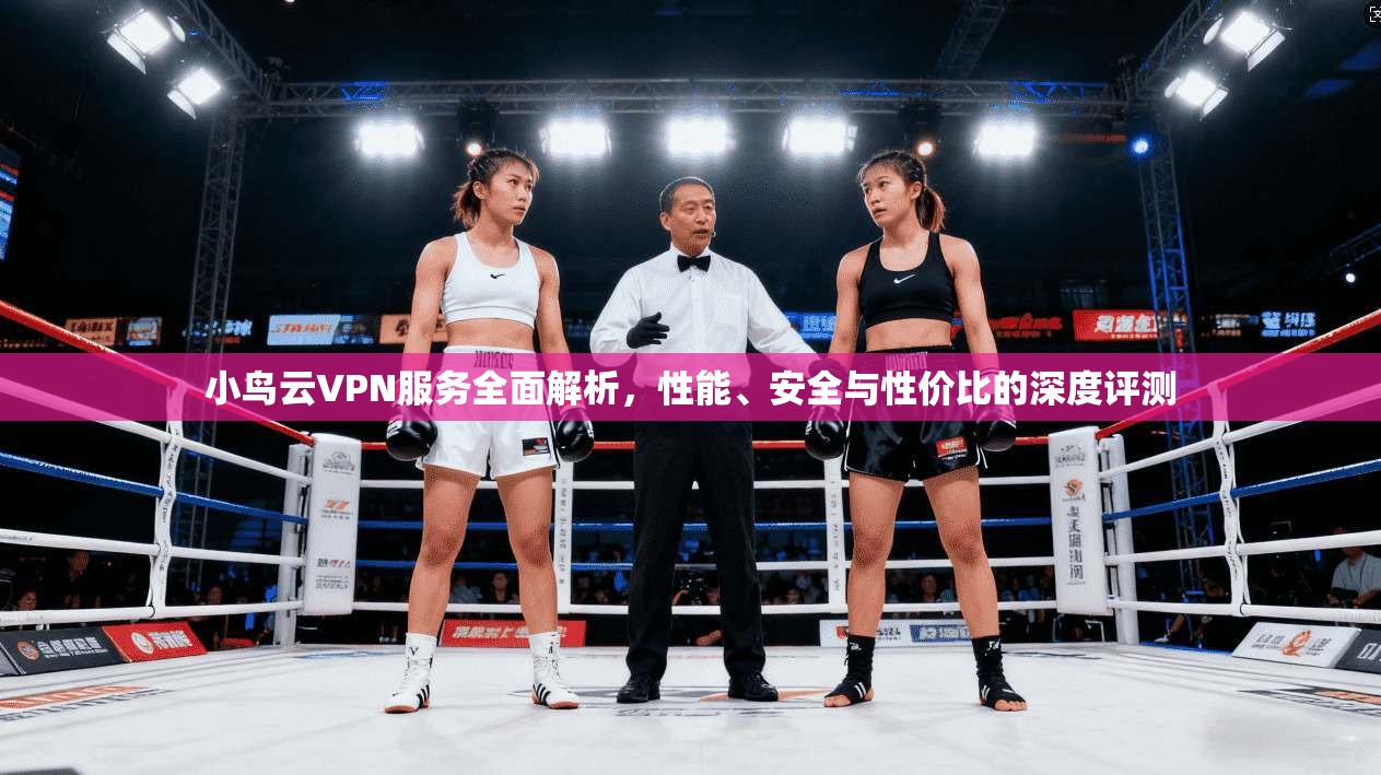 小鸟云VPN服务全面解析，性能、安全与性价比的深度评测