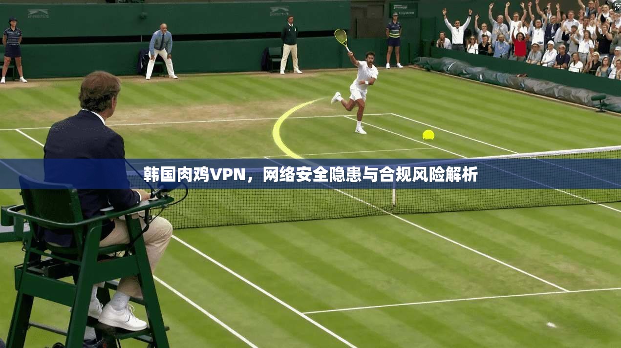 韩国肉鸡VPN，网络安全隐患与合规风险解析