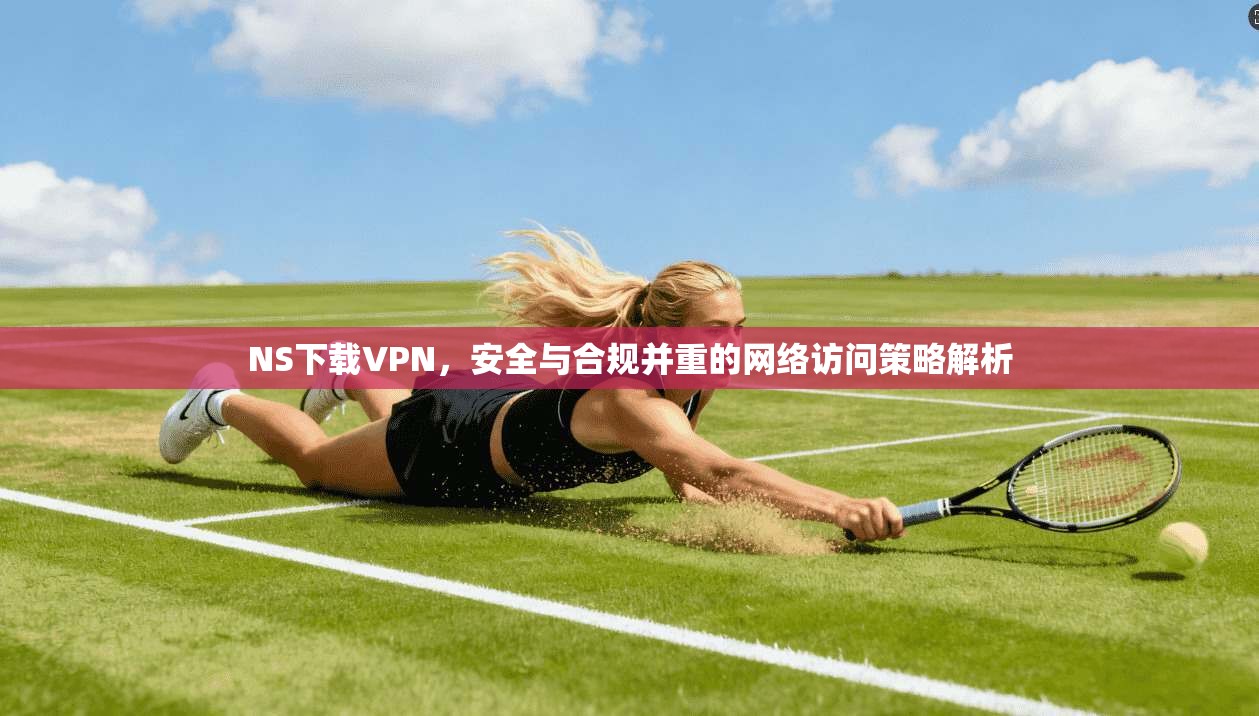 NS下载VPN，安全与合规并重的网络访问策略解析