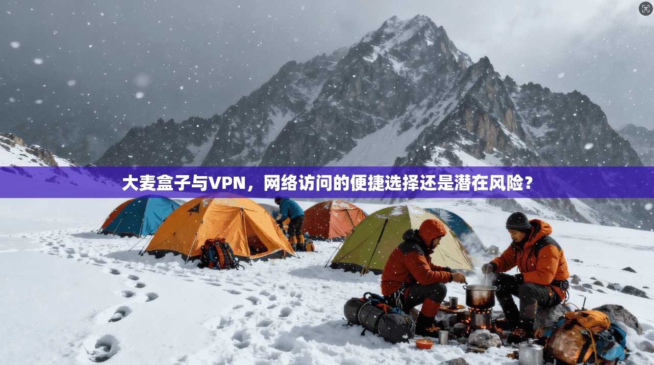 大麦盒子与VPN，网络访问的便捷选择还是潜在风险？