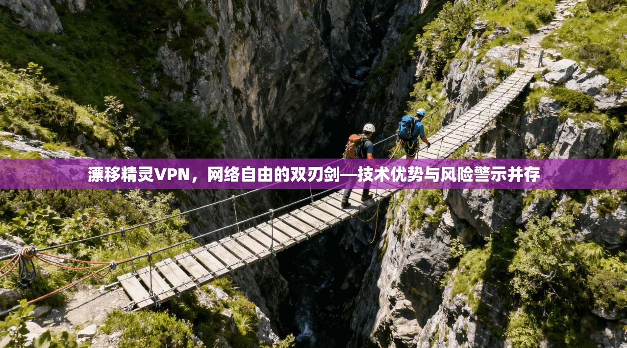 漂移精灵VPN，网络自由的双刃剑—技术优势与风险警示并存