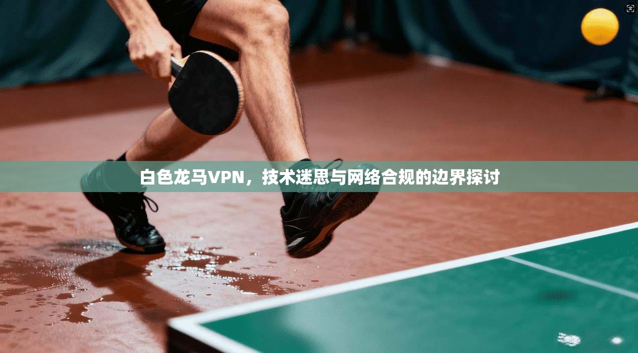 白色龙马VPN，技术迷思与网络合规的边界探讨