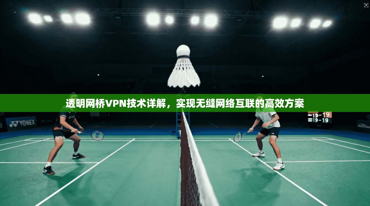 透明网桥VPN技术详解,实现无缝网络互联的高效方案 透明网桥VPN技术详解,实现无缝网络互联的高效方案