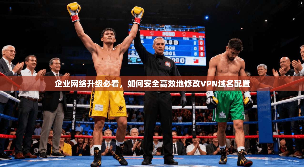 企业网络升级必看，如何安全高效地修改VPN域名配置