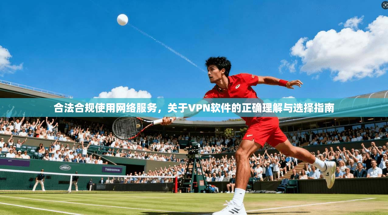 合法合规使用网络服务,关于VPN软件的正确理解与选择指南