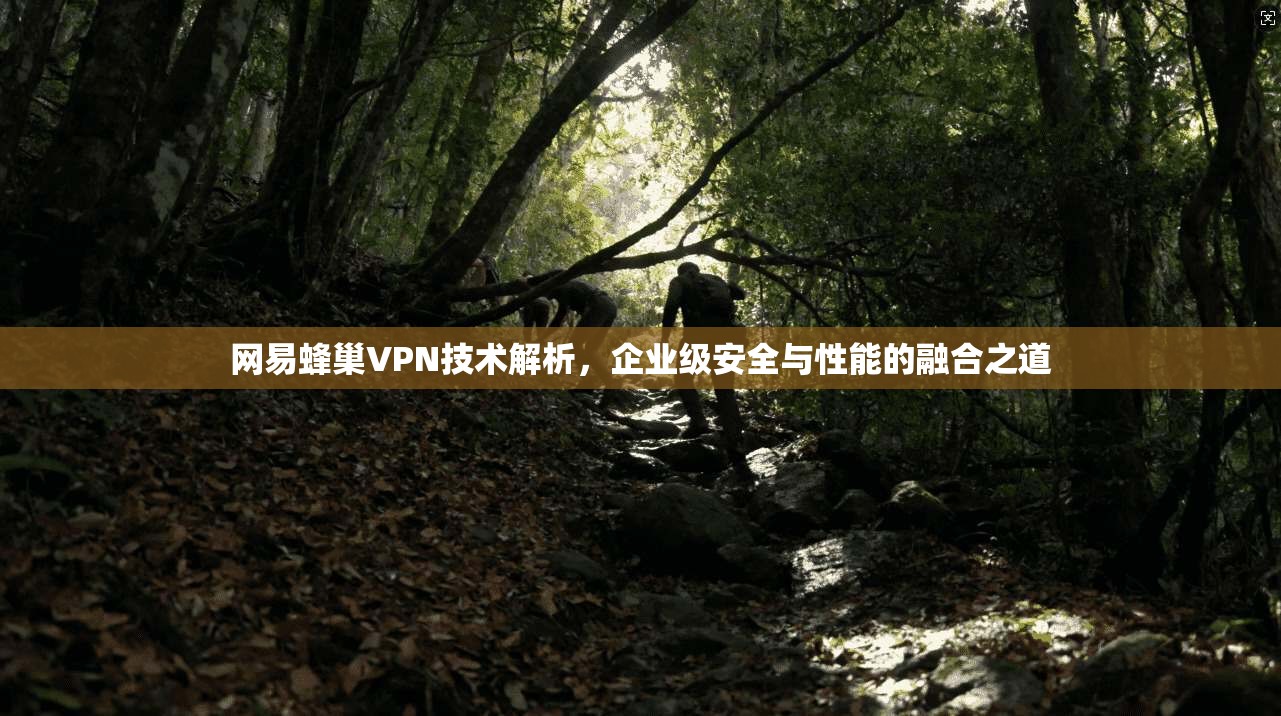 网易蜂巢VPN技术解析，企业级安全与性能的融合之道