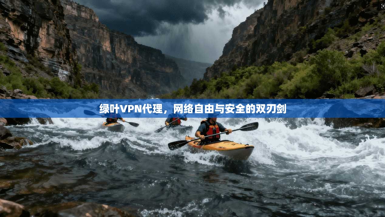 绿叶VPN代理，网络自由与安全的双刃剑