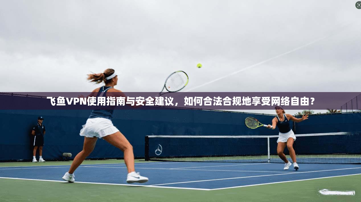飞鱼VPN使用指南与安全建议,如何合法合规地享受网络自由? 飞鱼VPN使用指南与安全建议,如何合法合规地享受网络自由?