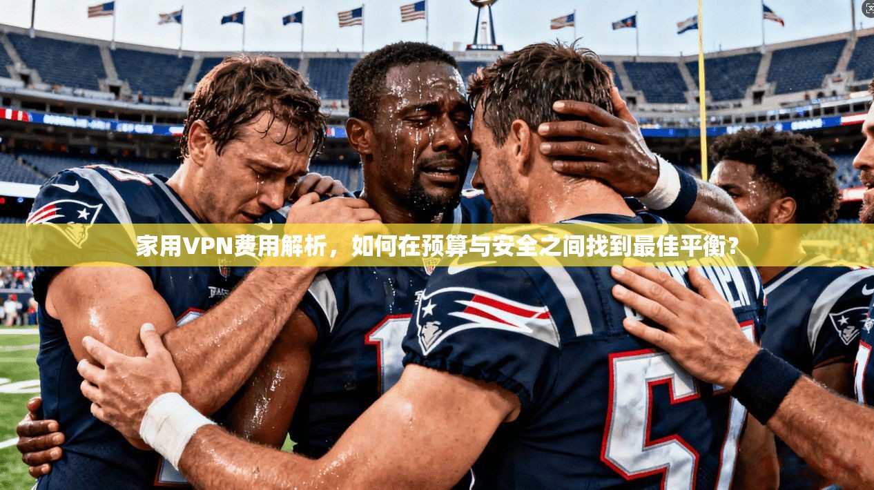 家用VPN费用解析，如何在预算与安全之间找到最佳平衡？