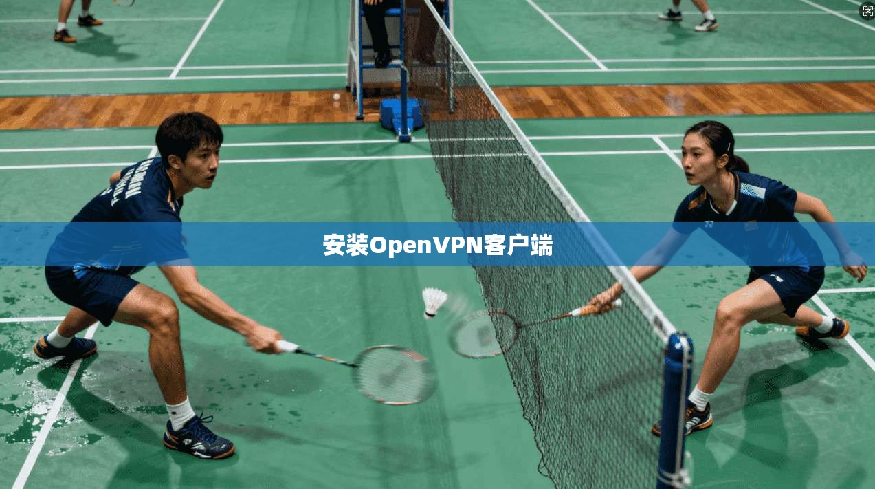 安装OpenVPN客户端