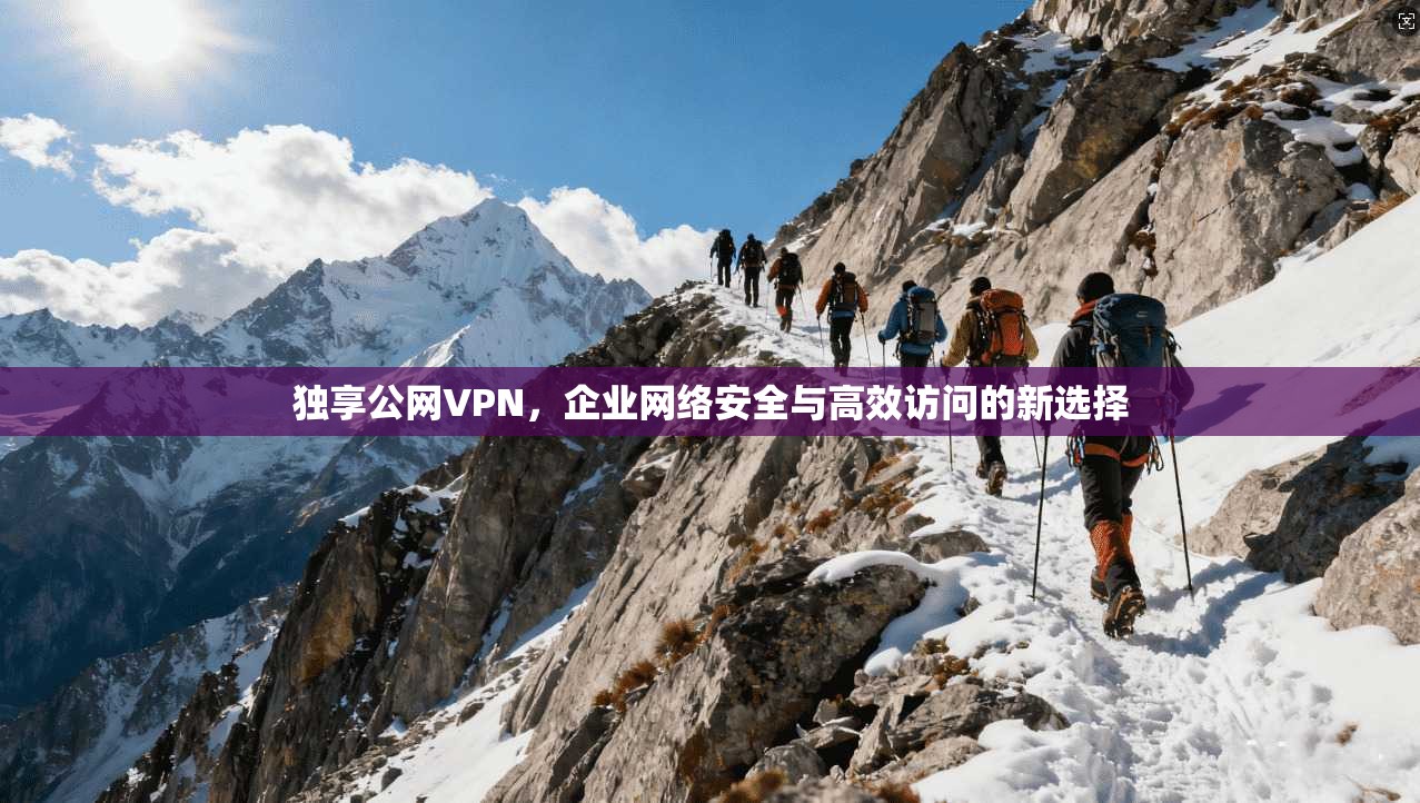 独享公网VPN，企业网络安全与高效访问的新选择