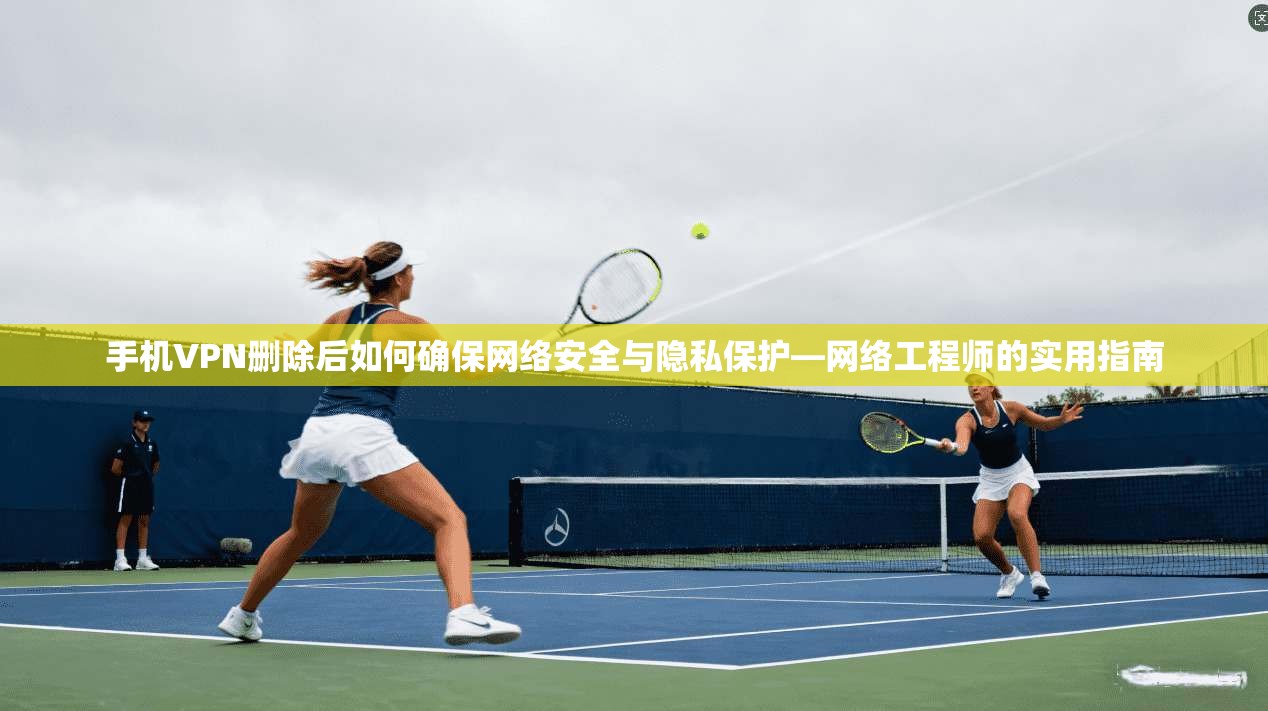 手机VPN删除后如何确保网络安全与隐私保护—网络工程师的实用指南