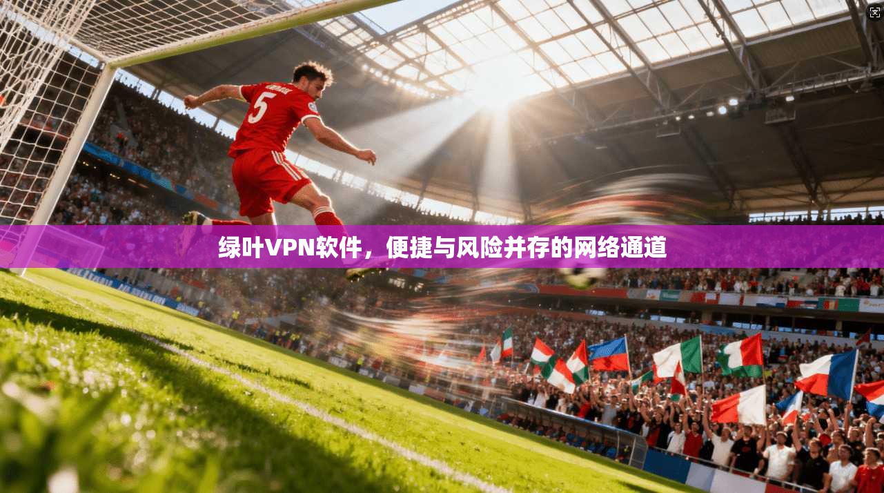 绿叶VPN软件，便捷与风险并存的网络通道
