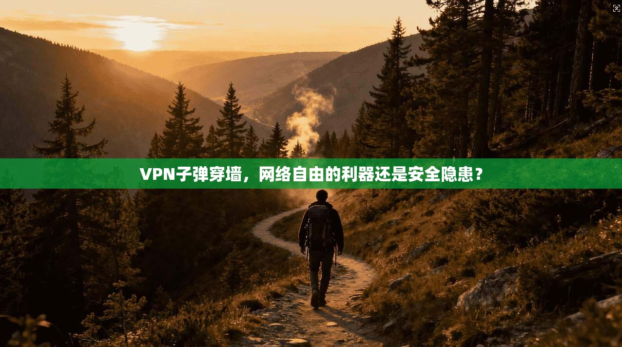 VPN子弹穿墙，网络自由的利器还是安全隐患？