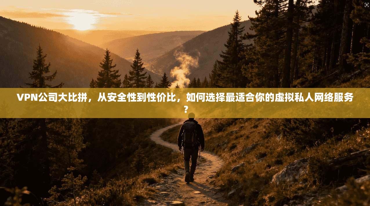 VPN公司大比拼，从安全性到性价比，如何选择最适合你的虚拟私人网络服务？