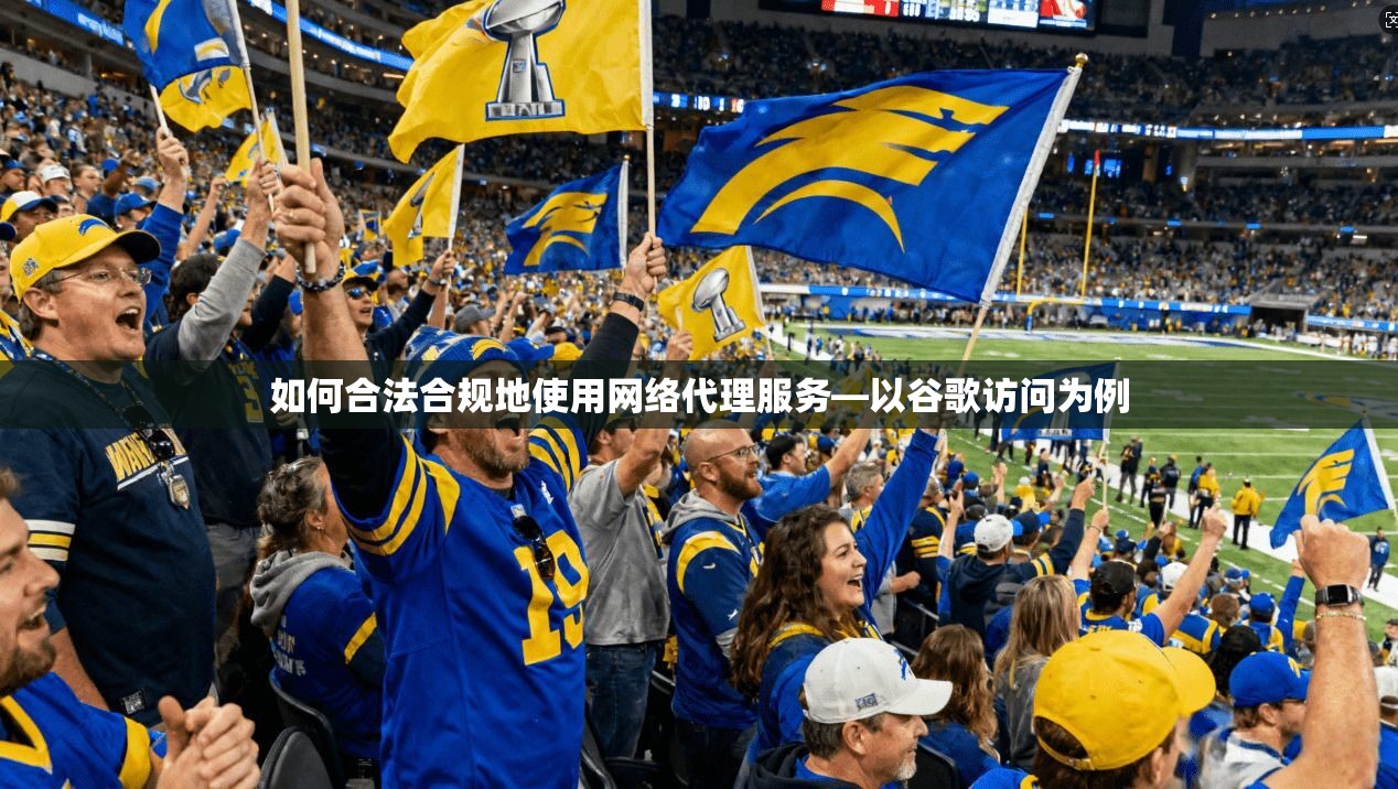 如何合法合规地使用网络代理服务—以谷歌访问为例