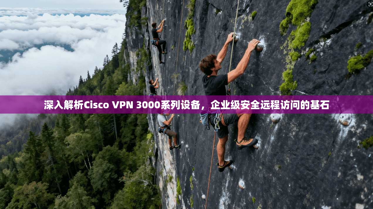 深入解析Cisco VPN 3000系列设备，企业级安全远程访问的基石