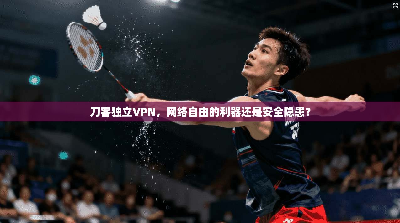 刀客独立VPN，网络自由的利器还是安全隐患？
