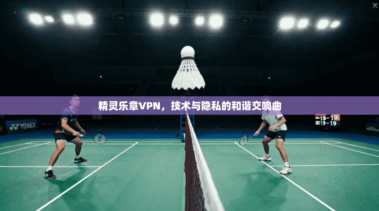 精灵乐章VPN，技术与隐私的和谐交响曲