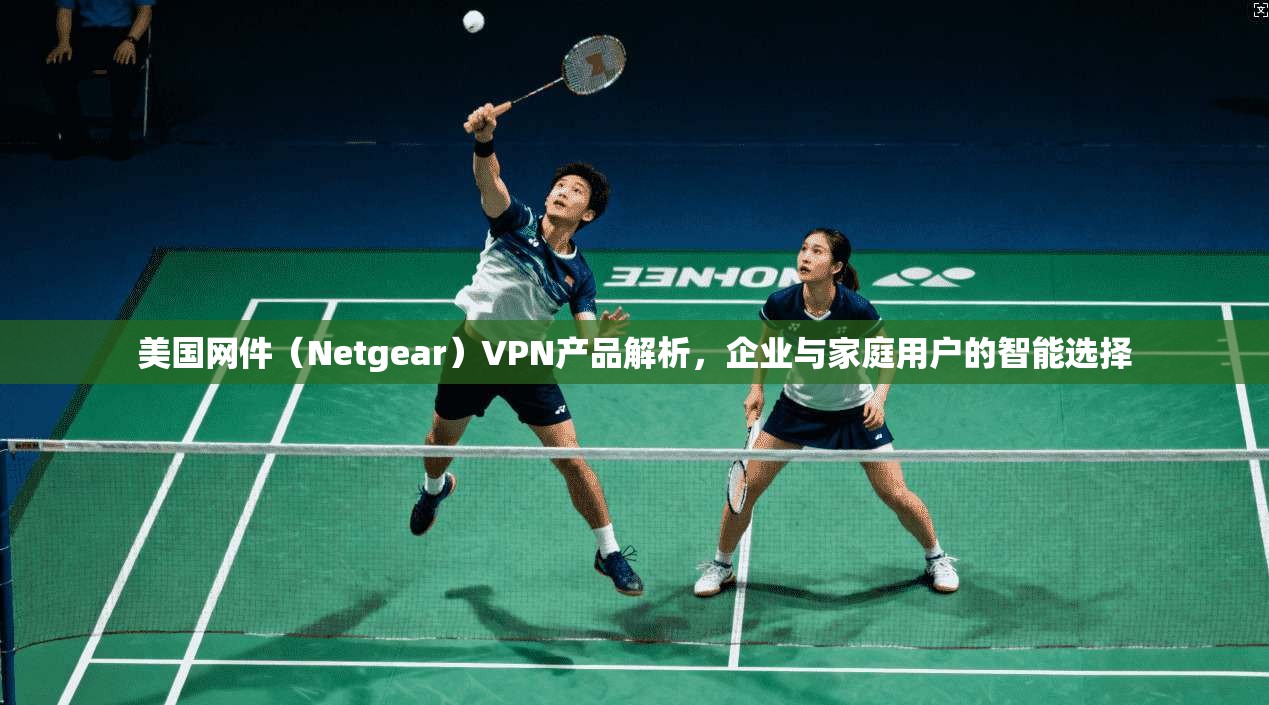 美国网件(Netgear)VPN产品解析,企业与家庭用户的智能选择