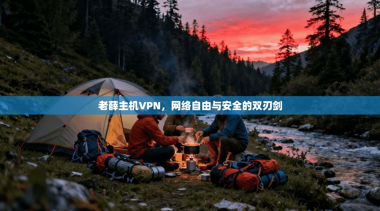 老薛主机VPN，网络自由与安全的双刃剑