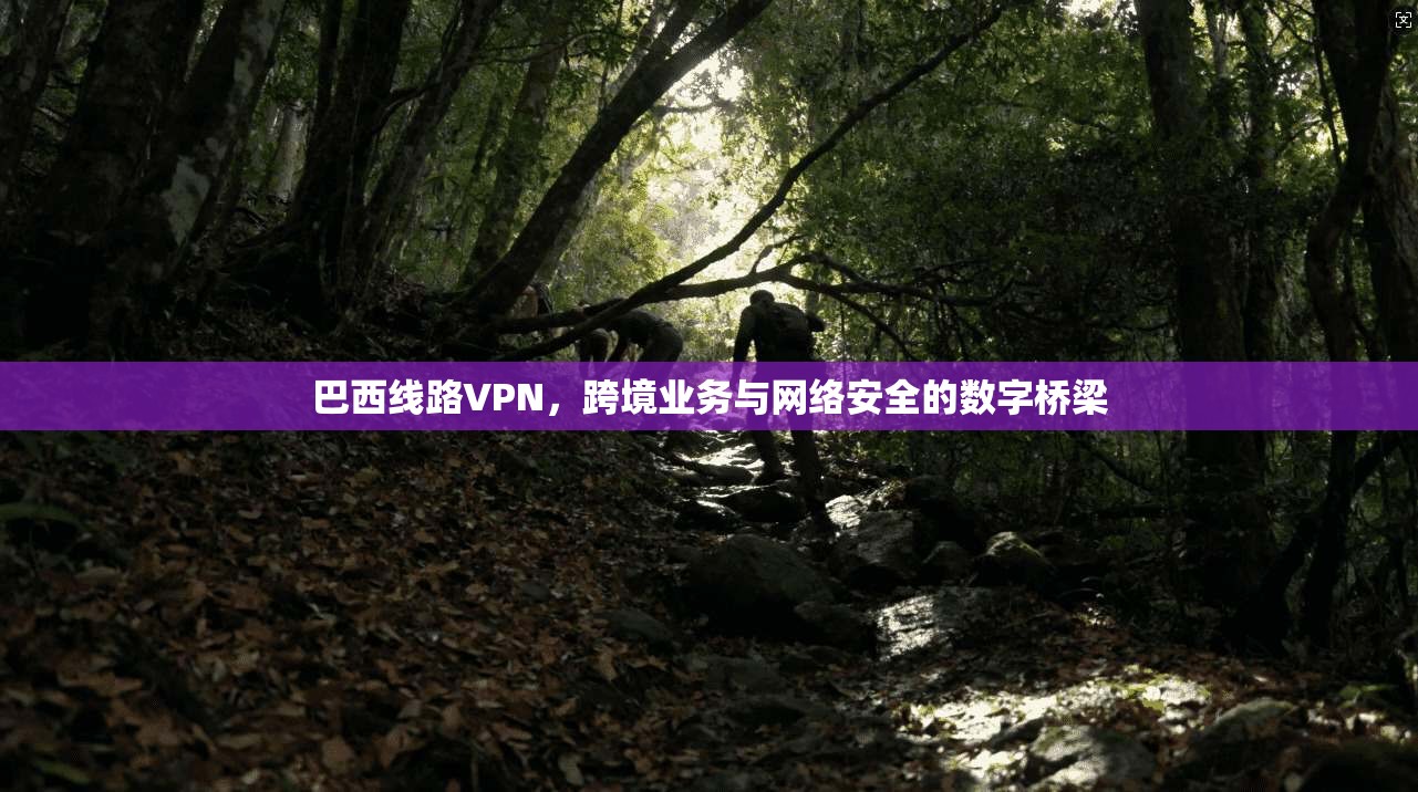巴西线路VPN，跨境业务与网络安全的数字桥梁