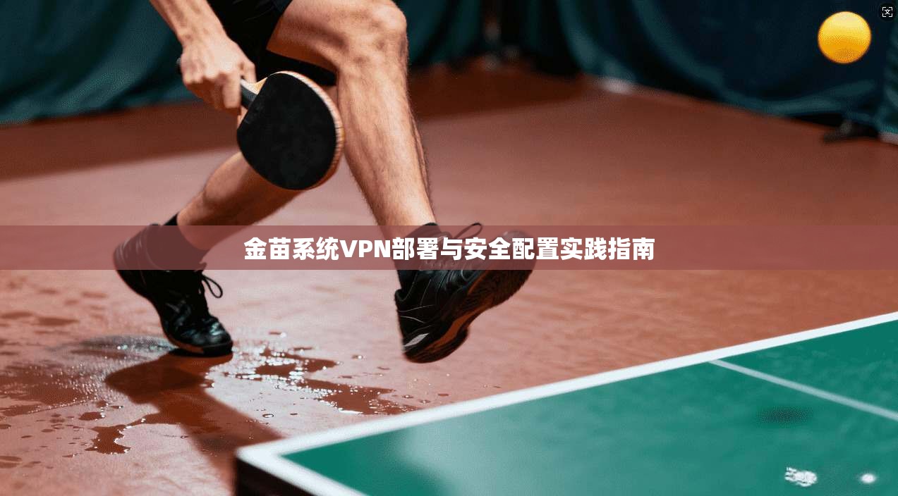 金苗系统VPN部署与安全配置实践指南