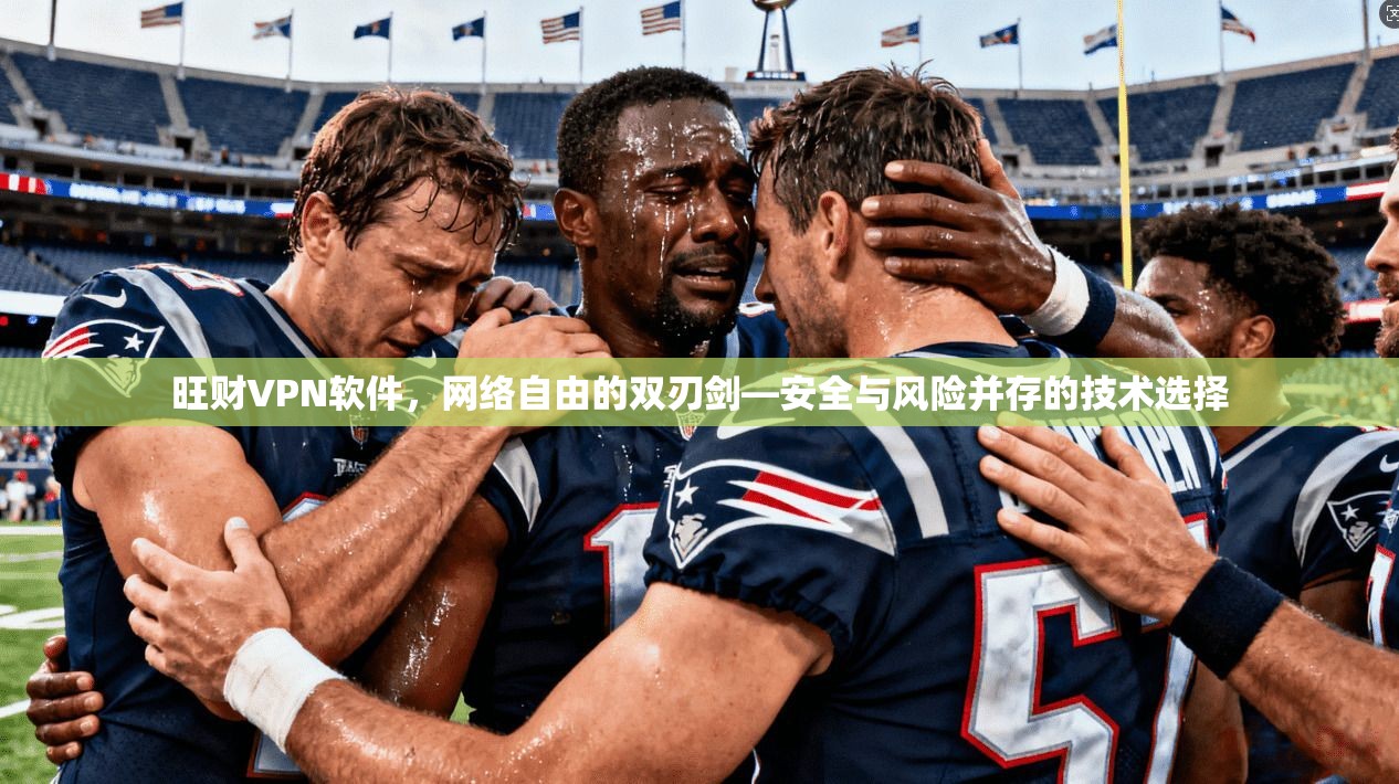 旺财VPN软件，网络自由的双刃剑—安全与风险并存的技术选择