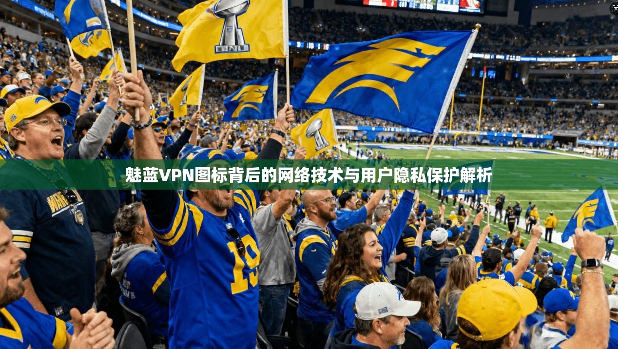 魅蓝VPN图标背后的网络技术与用户隐私保护解析
