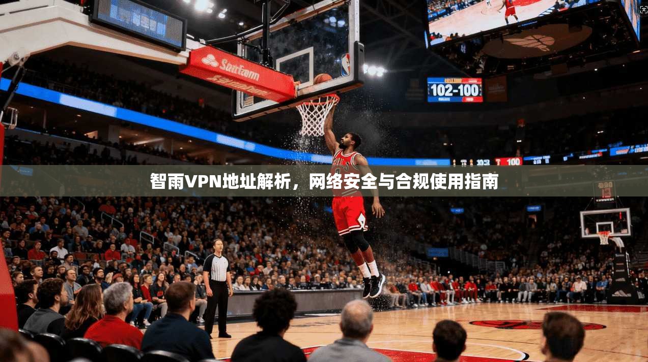 智雨VPN地址解析，网络安全与合规使用指南