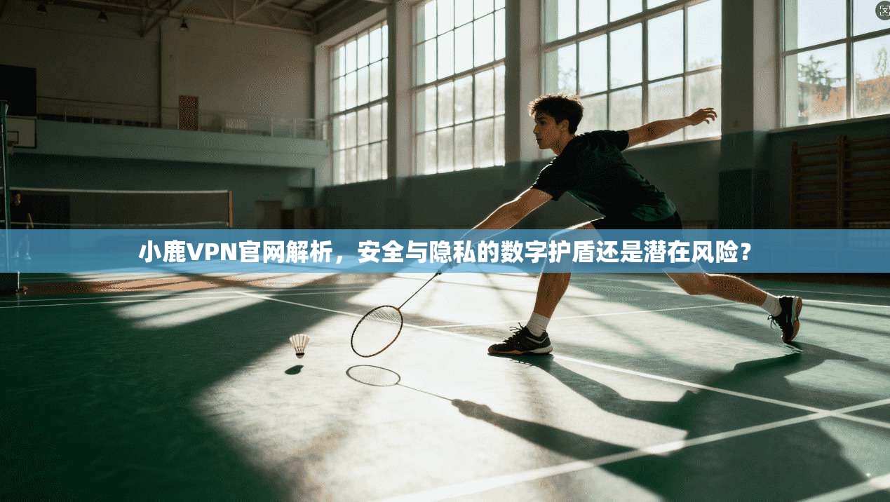 小鹿VPN官网解析，安全与隐私的数字护盾还是潜在风险？