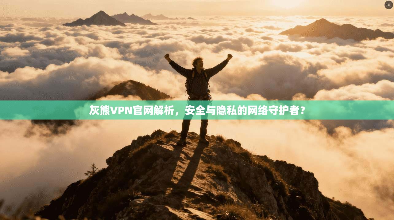 灰熊VPN官网解析，安全与隐私的网络守护者？