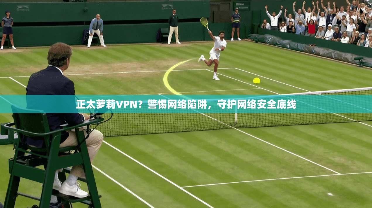 正太萝莉VPN？警惕网络陷阱，守护网络安全底线