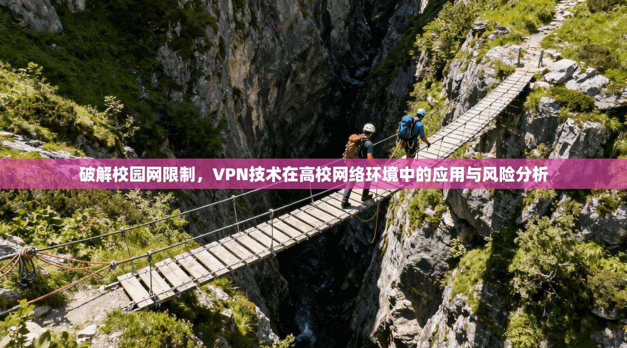破解校园网限制，VPN技术在高校网络环境中的应用与风险分析