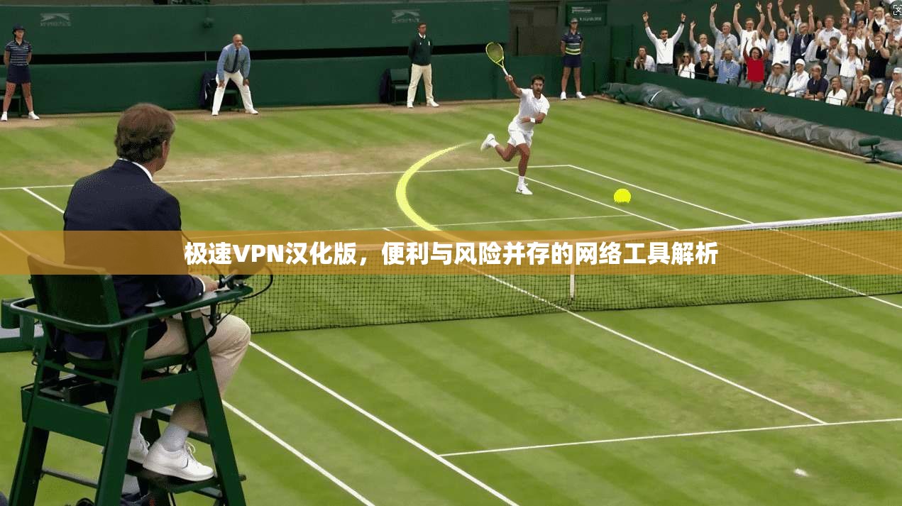 极速VPN汉化版，便利与风险并存的网络工具解析