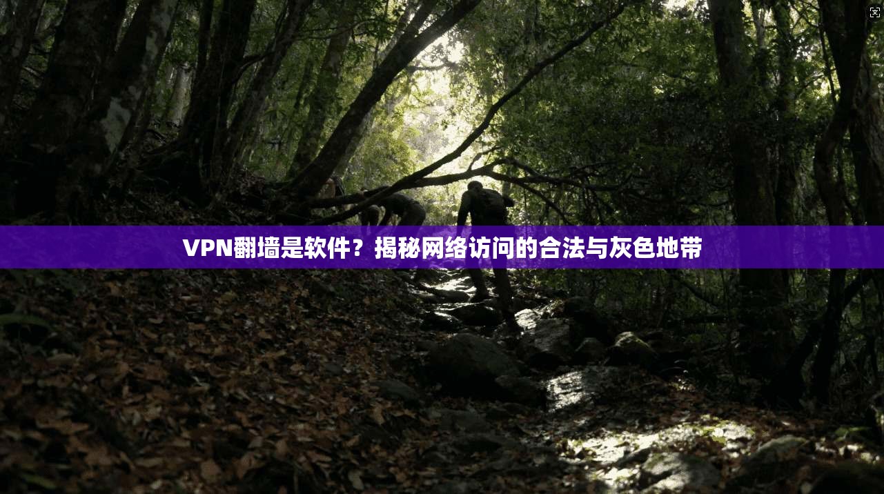 VPN翻墙是软件？揭秘网络访问的合法与灰色地带