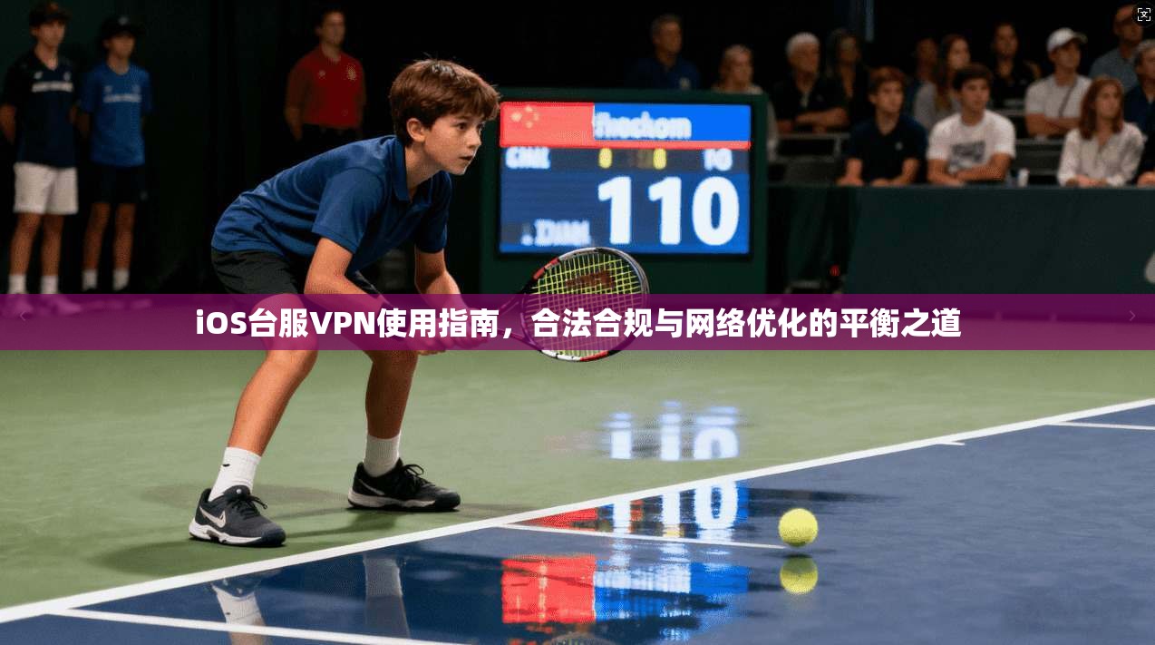 iOS台服VPN使用指南，合法合规与网络优化的平衡之道