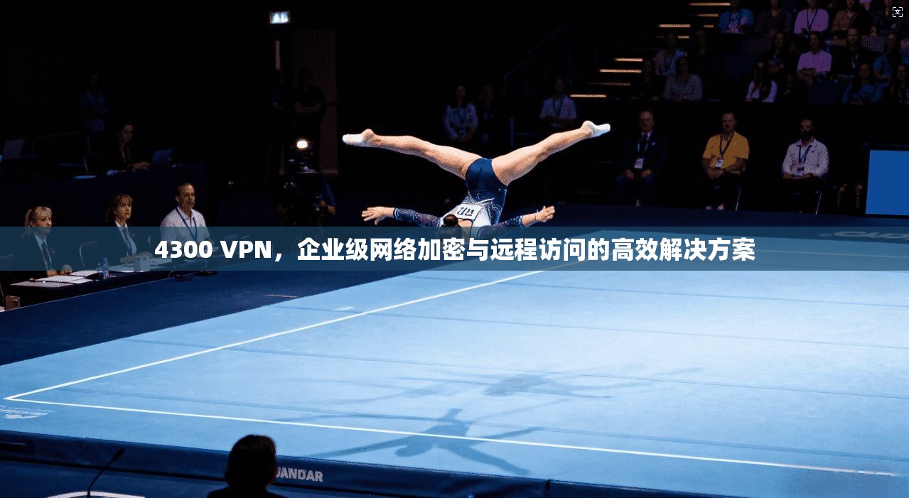 4300 VPN，企业级网络加密与远程访问的高效解决方案