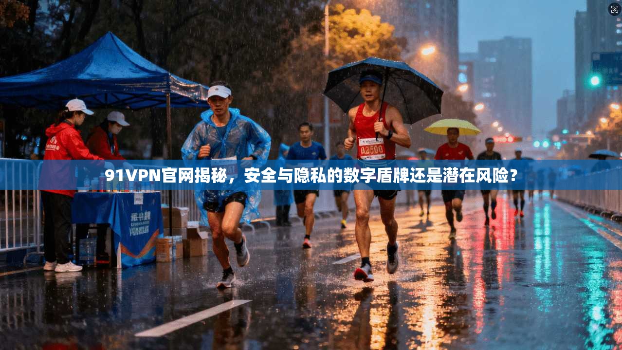 91VPN官网揭秘，安全与隐私的数字盾牌还是潜在风险？