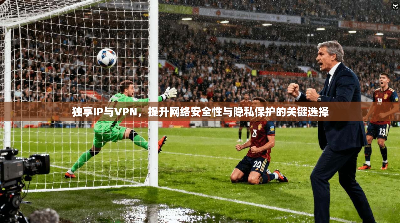 独享IP与VPN，提升网络安全性与隐私保护的关键选择
