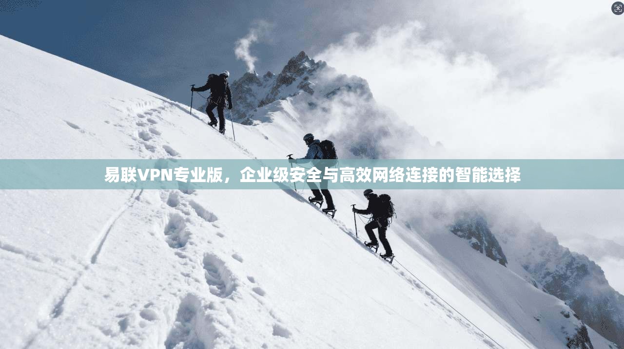 易联VPN专业版，企业级安全与高效网络连接的智能选择