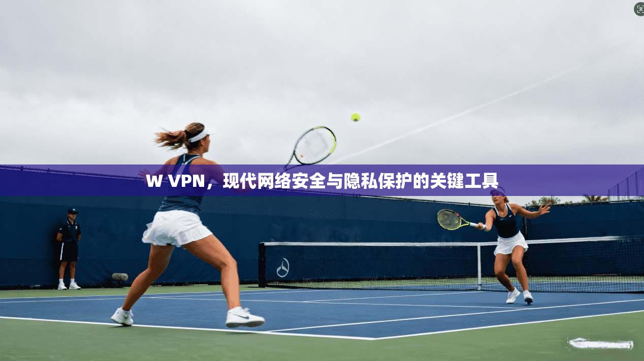 W VPN，现代网络安全与隐私保护的关键工具