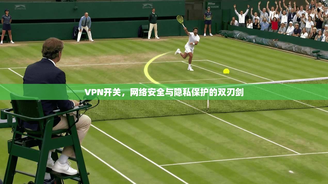 VPN开关，网络安全与隐私保护的双刃剑