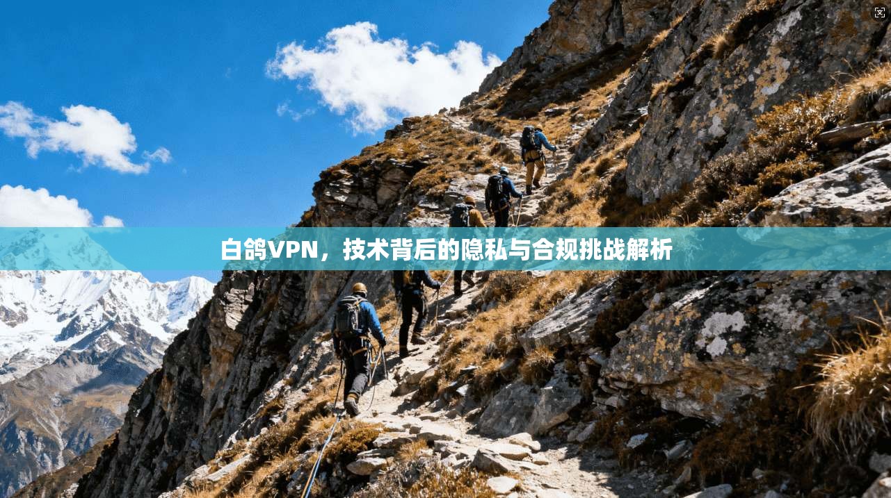 白鸽VPN，技术背后的隐私与合规挑战解析