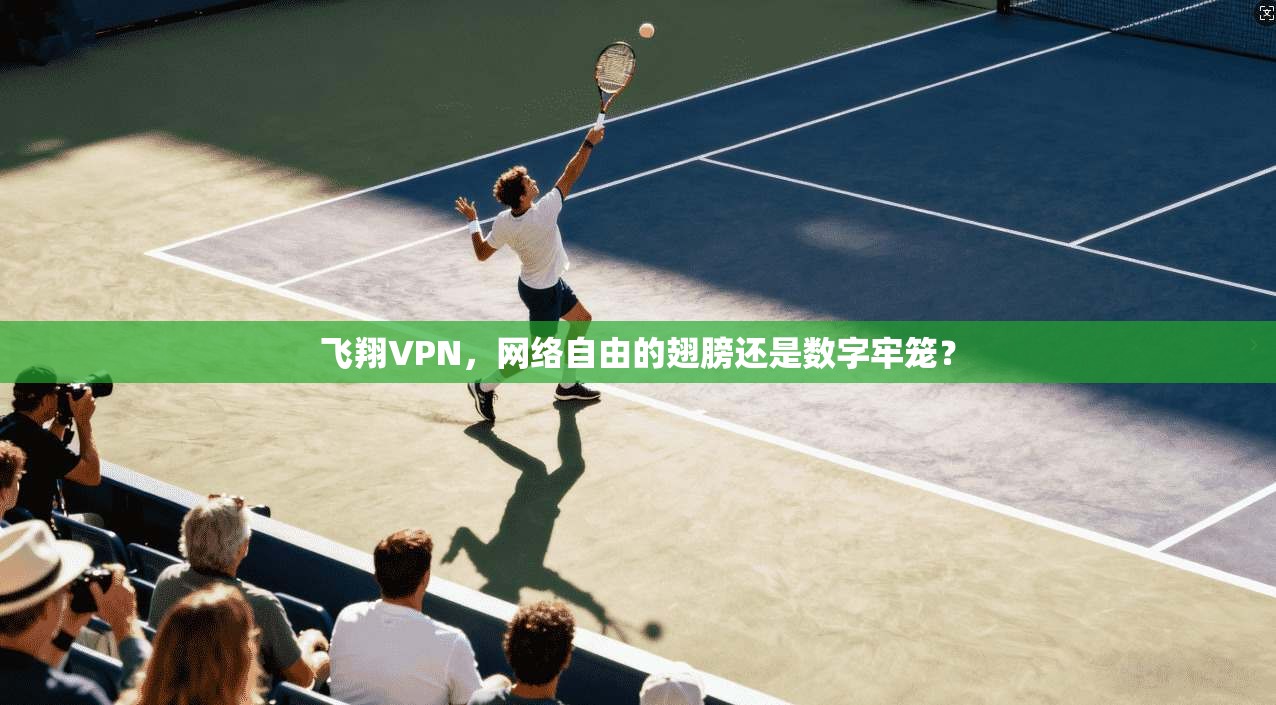 飞翔VPN,网络自由的翅膀还是数字牢笼?