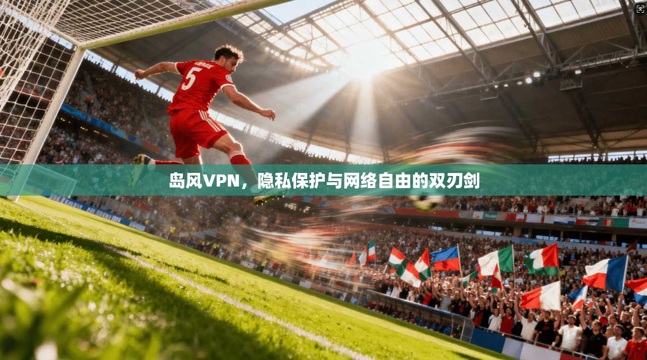 岛风VPN，隐私保护与网络自由的双刃剑