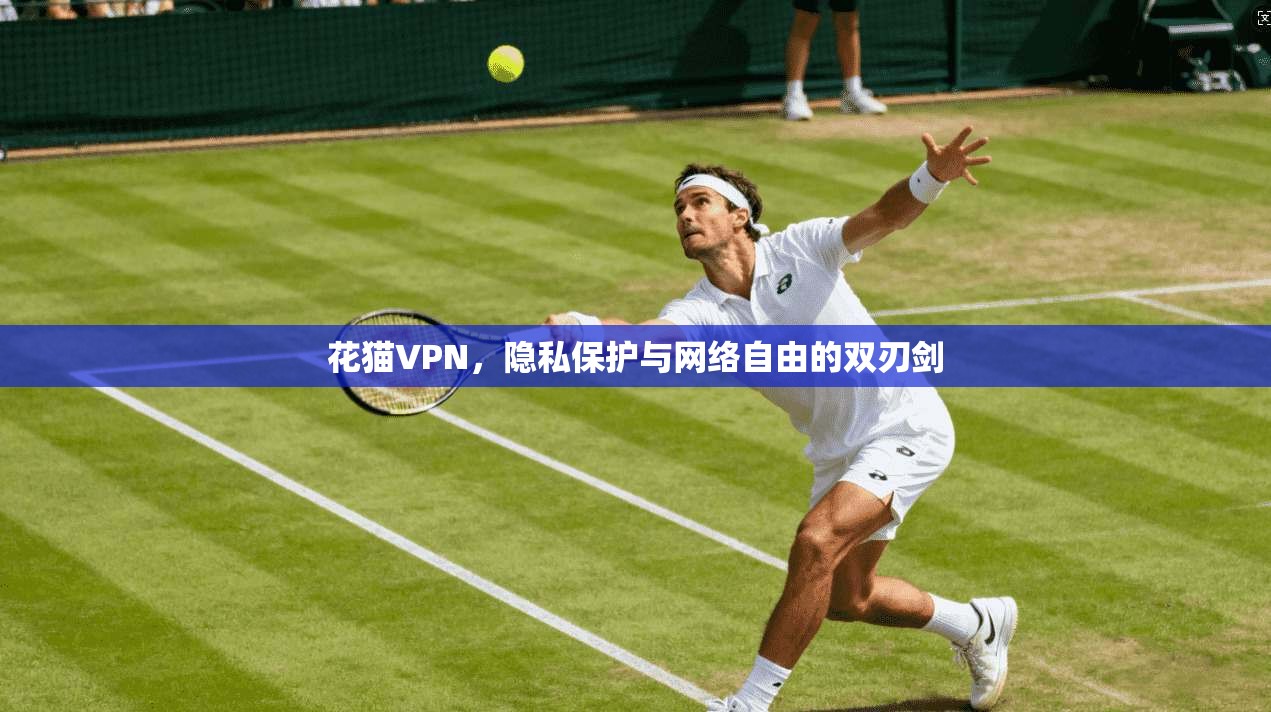 花猫VPN，隐私保护与网络自由的双刃剑