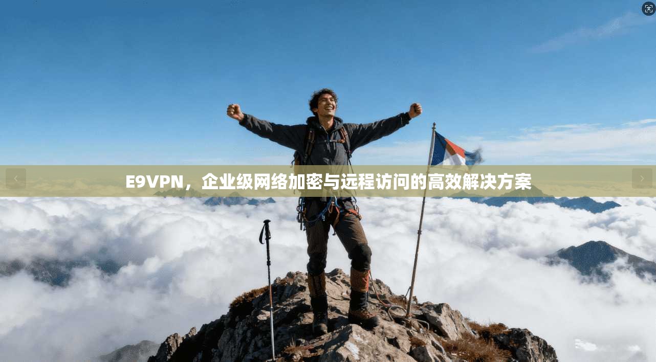 E9VPN，企业级网络加密与远程访问的高效解决方案